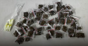 PETO da 66ª CIPM apreende drogas após troca de tiros em Terra Nova