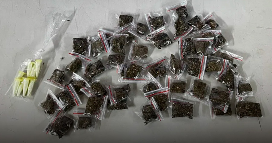 PETO da 66ª CIPM apreende drogas após troca de tiros em Terra Nova